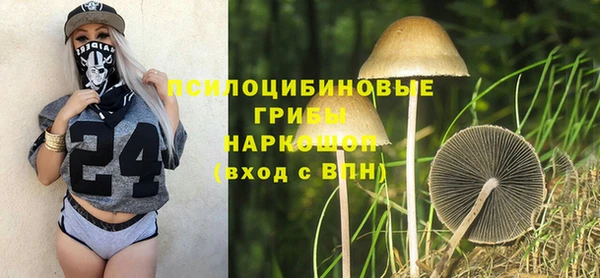 тгк Алзамай