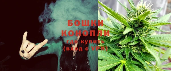ALPHA PVP Рославль