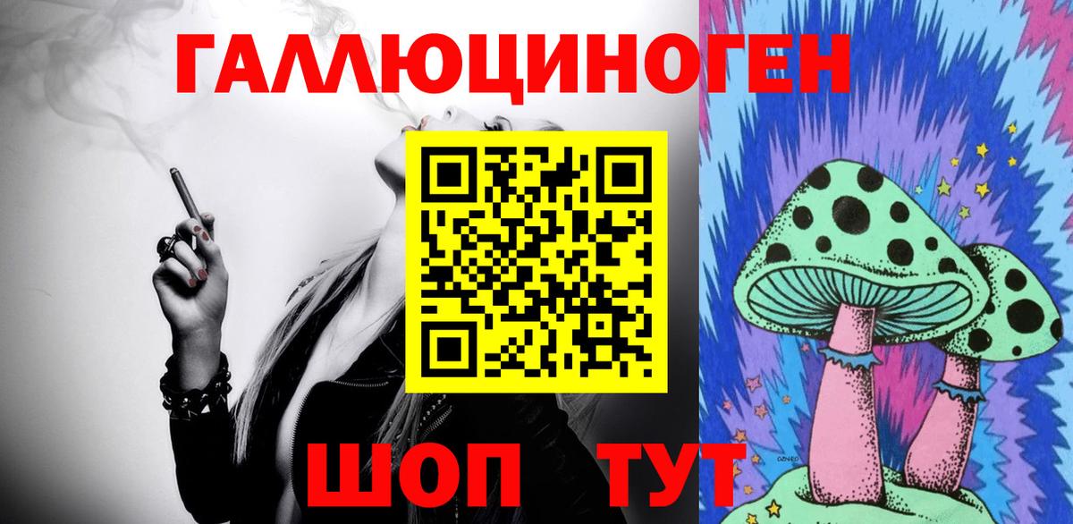Псилоцибиновые грибы Psilocybe Заинск
